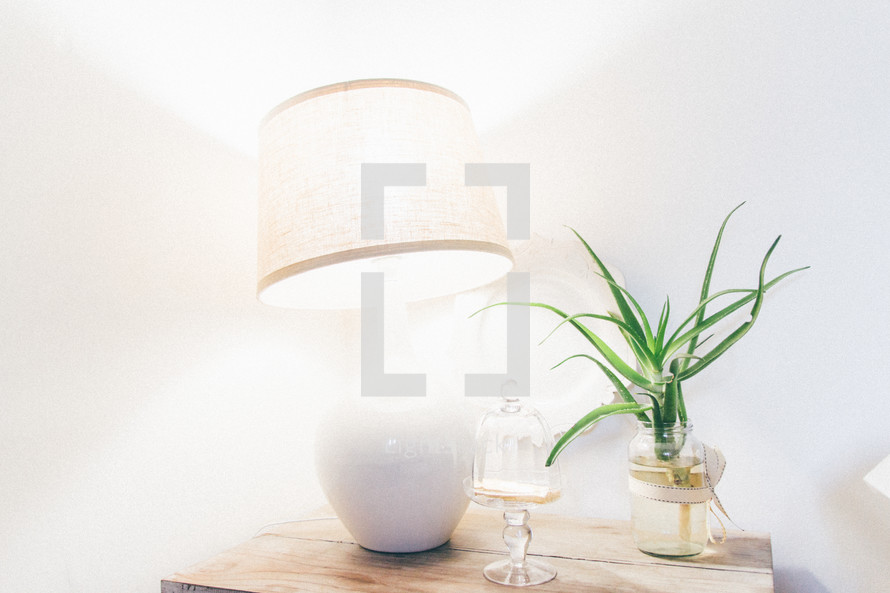 a lamp and house plant on a nightstand 