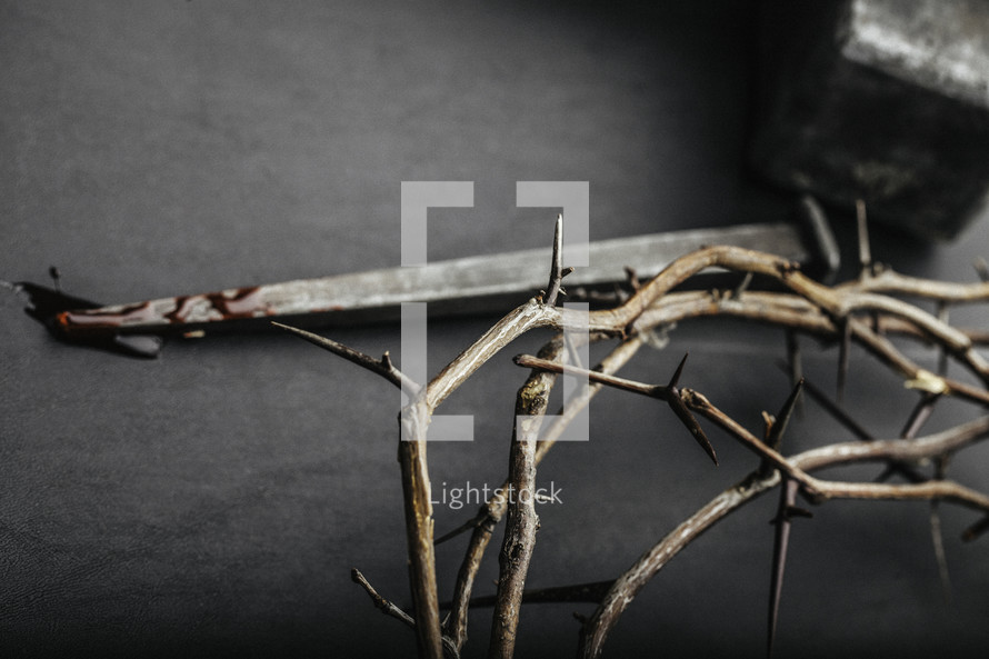 Crown of thorns, hammer, and blood covered nail.