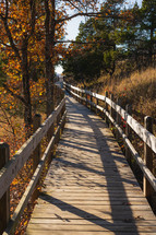 walkway in a fall forest 