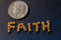"Faith" written in seeds next to a dime.