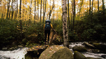 a person hiking in a fall forest 
