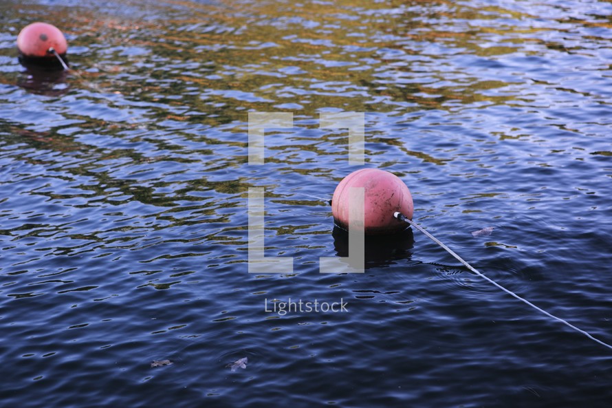 floating buoys on the lake 