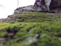 moss covered rocky ground