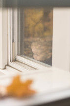 toddler looking out a window 