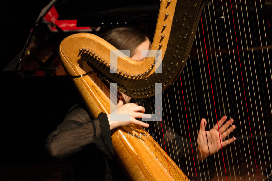 woman playing a harp 