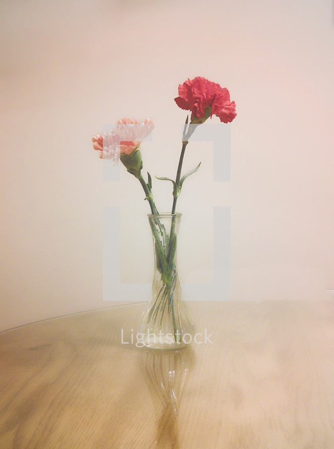 carnations in a vase 