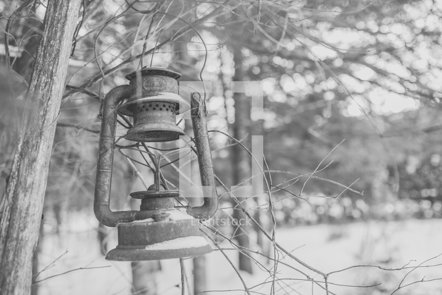 rusty lantern hanging on a tree 
