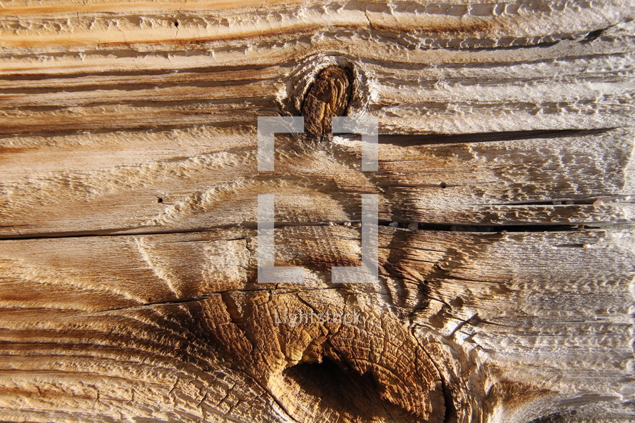 Wood grain on a plank