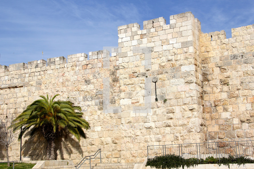 Jerusalem City walls with palm tree 