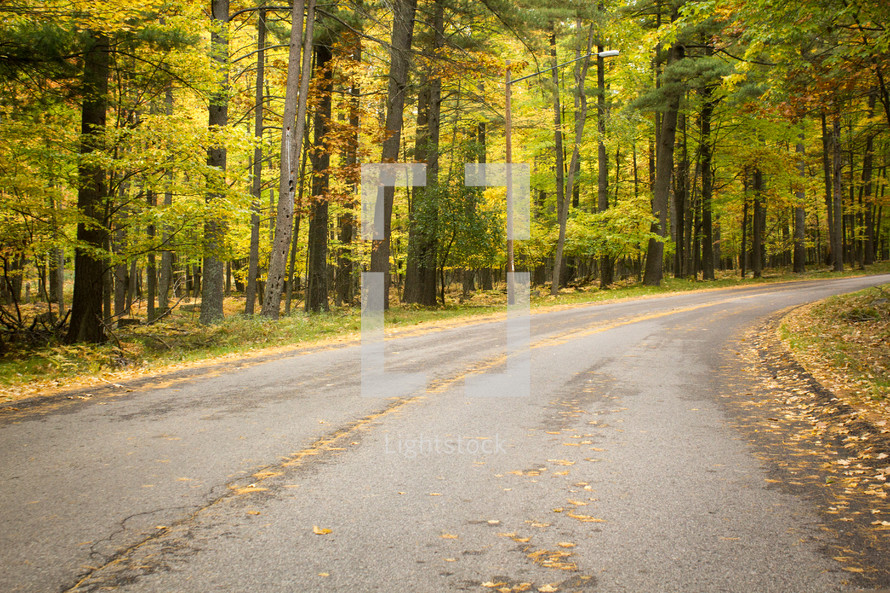 road in fall 