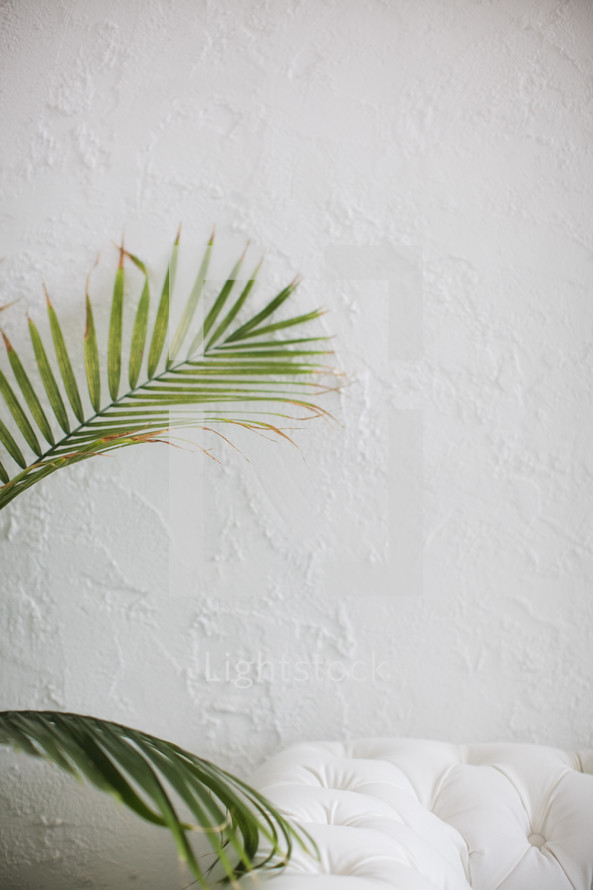 tropical leaves and white couch 