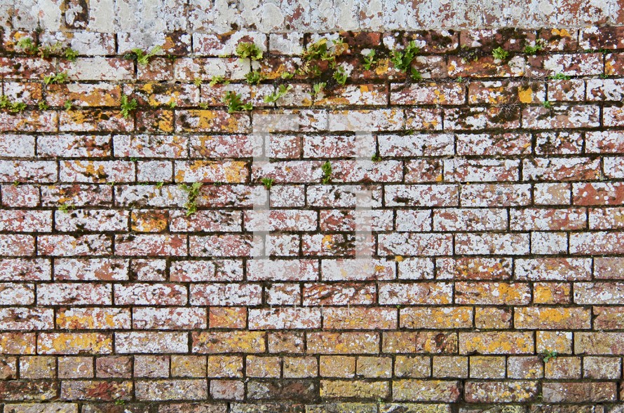 old brick wall 
