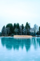 A frozen pond surrounded by tall trees.