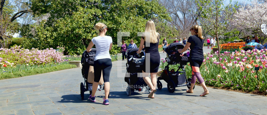mothers pushing strollers at a park 