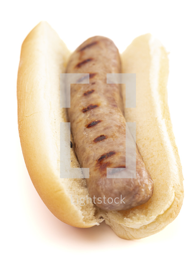 Grilled Bratwurst in a Hotdog Bun Isolated on a White Background
