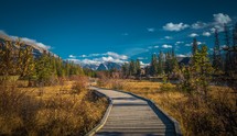 wood boardwalk and mountain view 