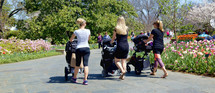 mothers pushing strollers at a park 