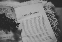 A Merry Christmas novel 