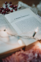A Merry Christmas chapter in a Novel 