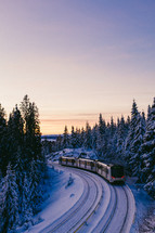 train on tracks through winter forest 