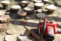 chainsaw and cut logs 