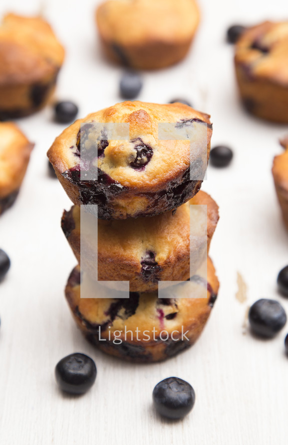 blueberry muffin 