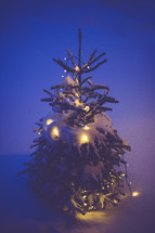 a Christmas tree with lights covered in snow, a white Christmas 