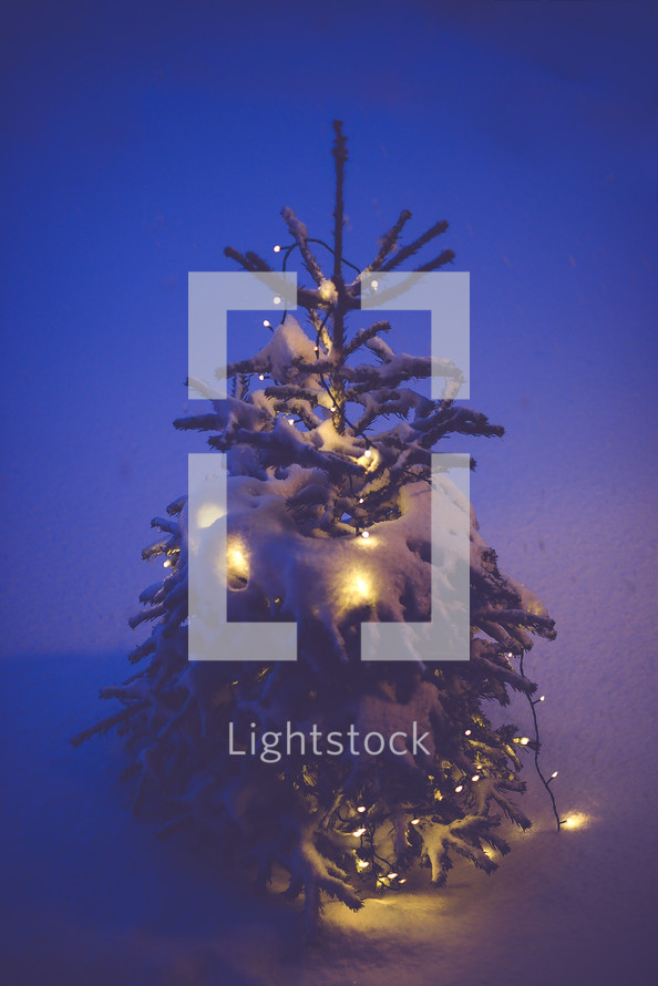 a Christmas tree with lights covered in snow, a white Christmas 