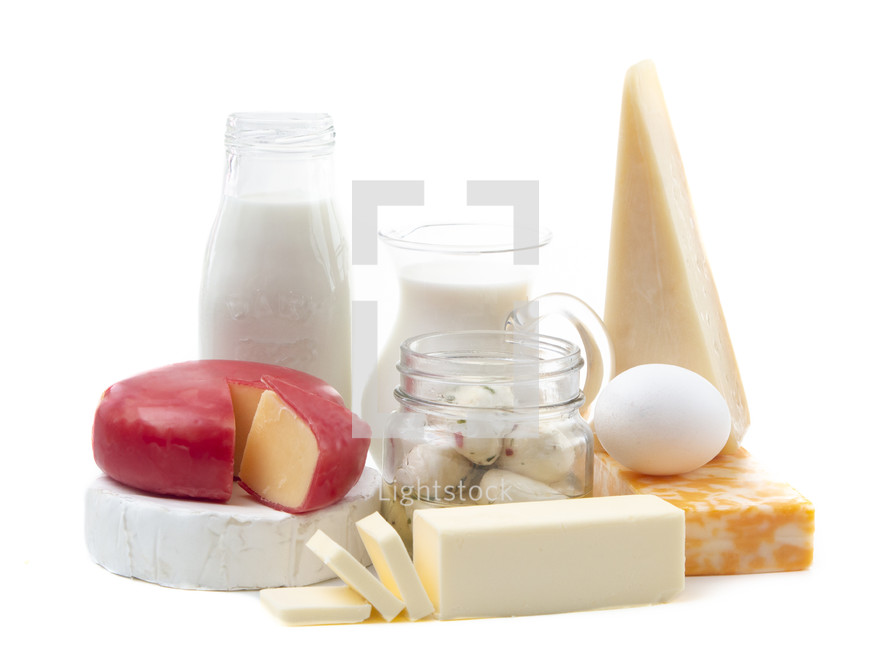 A Group of Various Dairy Foods Isolated on a White Background