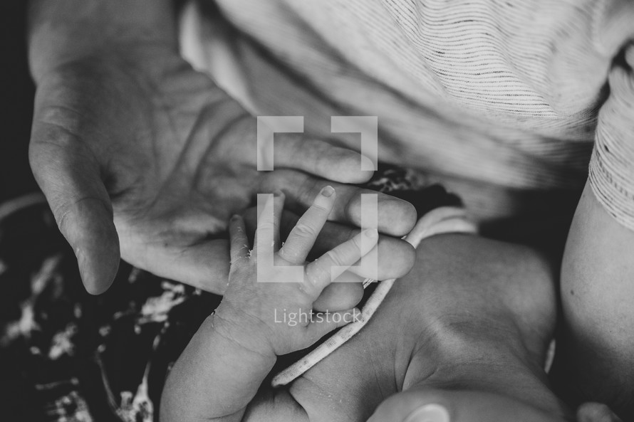 an infant's hand holding onto father's hand 