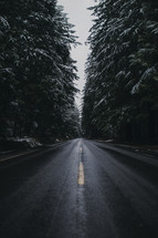 a highway through a snowy forest 
