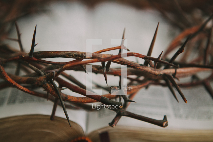 crown of thorns over a Bible 