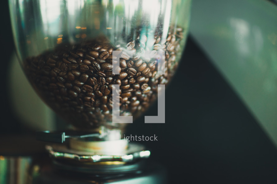 coffee beans in a container 