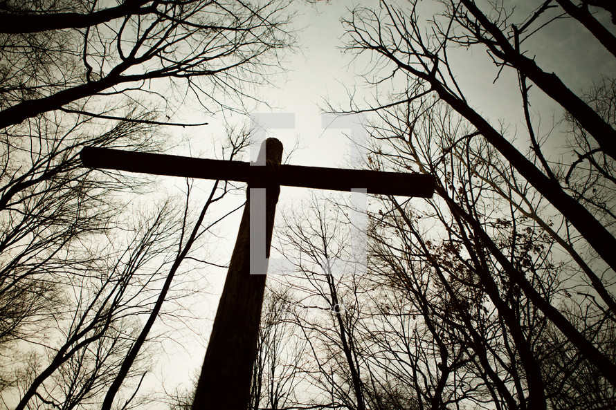 silhouette of a cross in a forest 