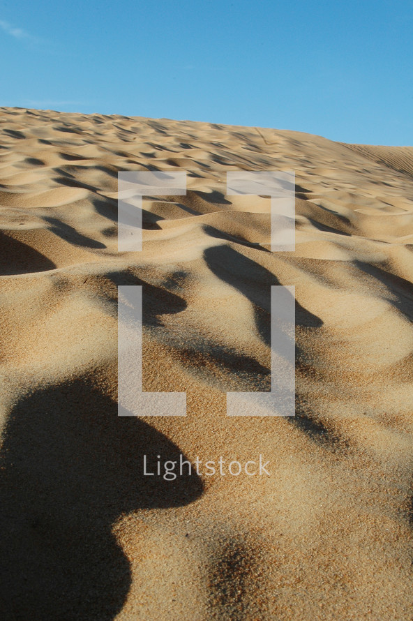 ripples in sand dunes in desert sand