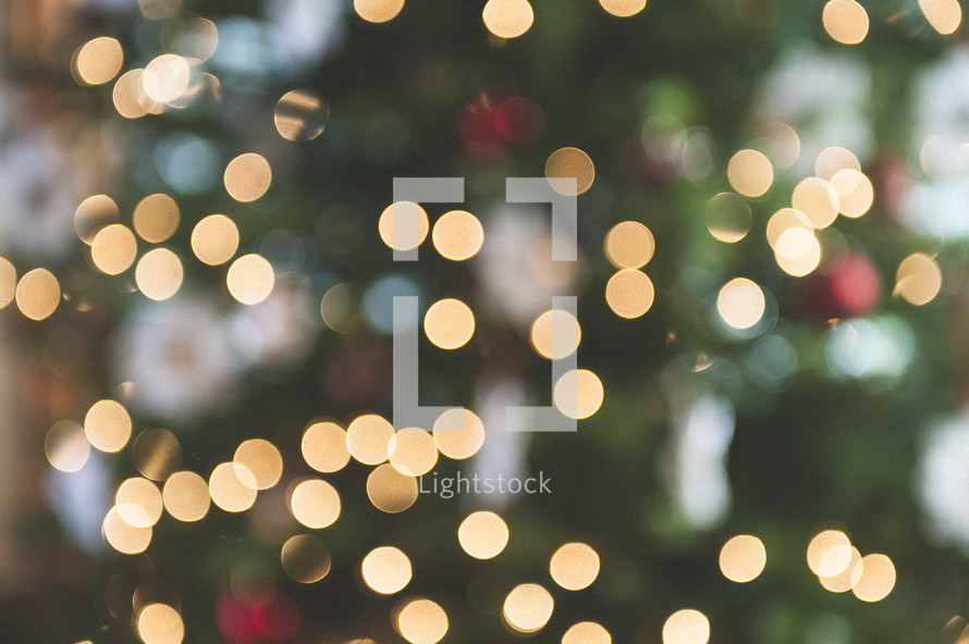 bokeh Christmas lights on a Christmas tree 
