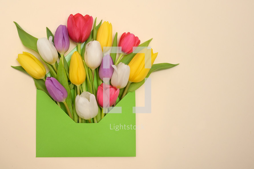 tulips in an envelope 