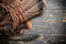 wild eastern turkey fan feathers on wood background.