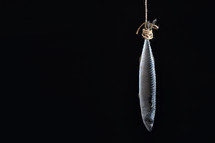 single fish hanging on a rope 