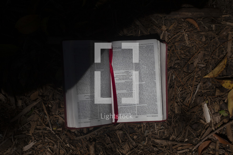 Bible on the ground in the shadows 