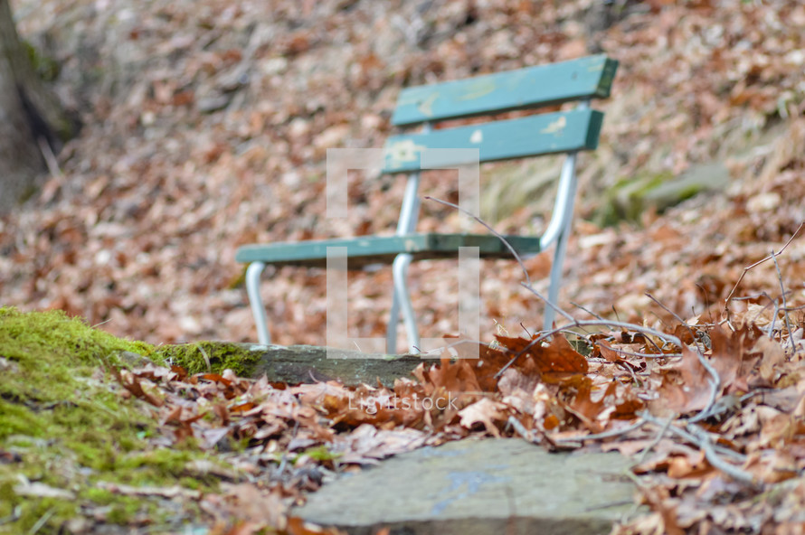 park bench and fall leaves 