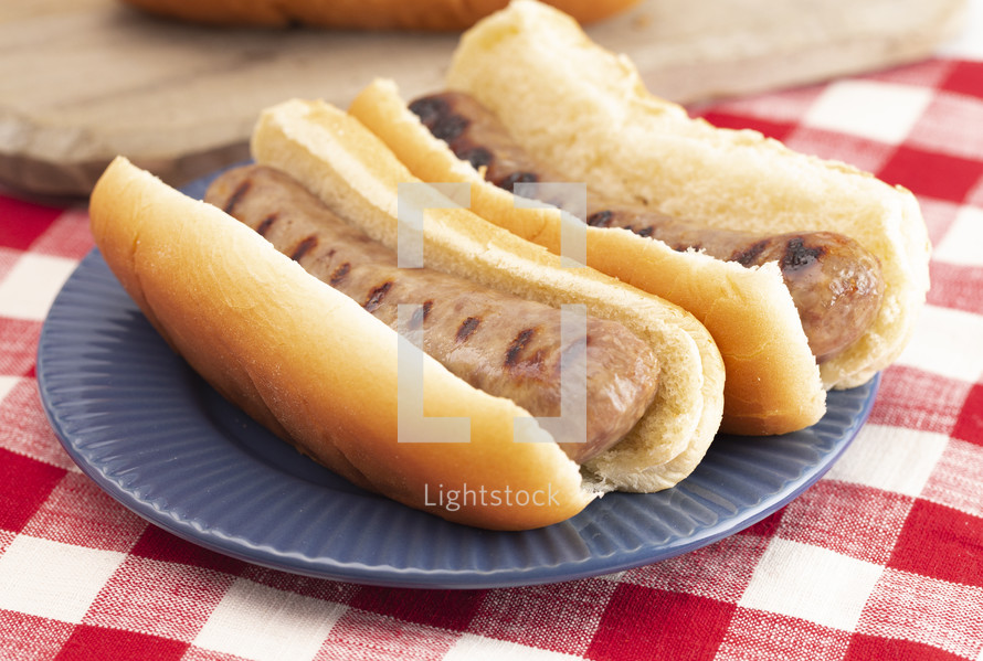 Grilled Bratwurst in a Hotdog Bun  