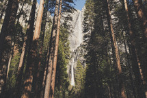 waterfall off the side of a cliff and trees in a forest 