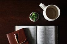 leather bound journal, open Bible, and house plant on a desk 