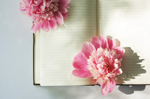 pink flowers on blank pages of a journal 