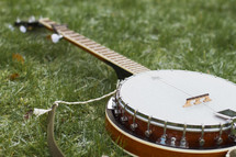 a mandolin in the grass 