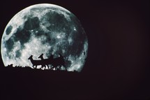 deer and full moon 