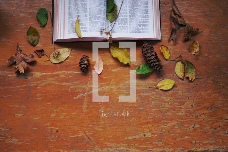 fall leaves on an open Bible 