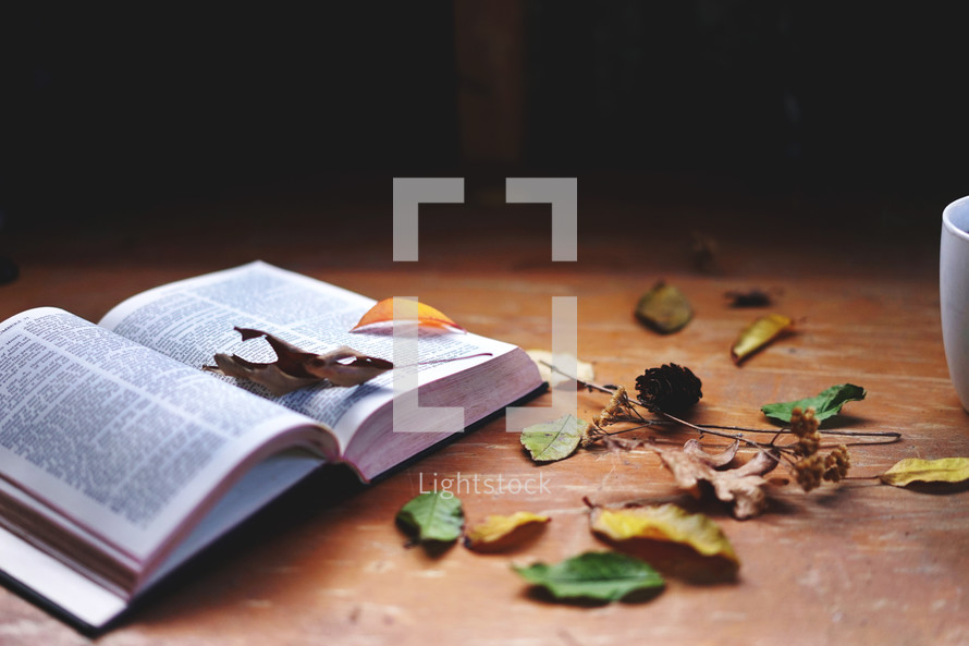 fall leaves on an open Bible and mug of hot tea 
