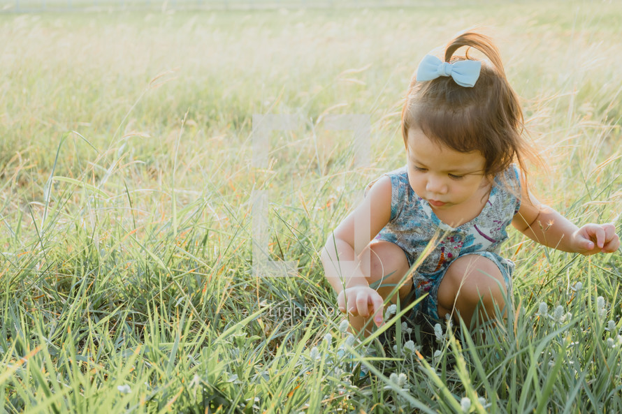 toddler girl playing in a field 